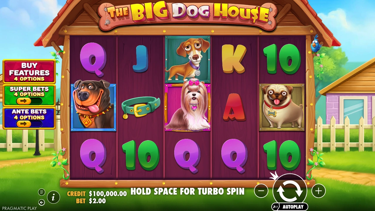 Portada de The Big Dog House